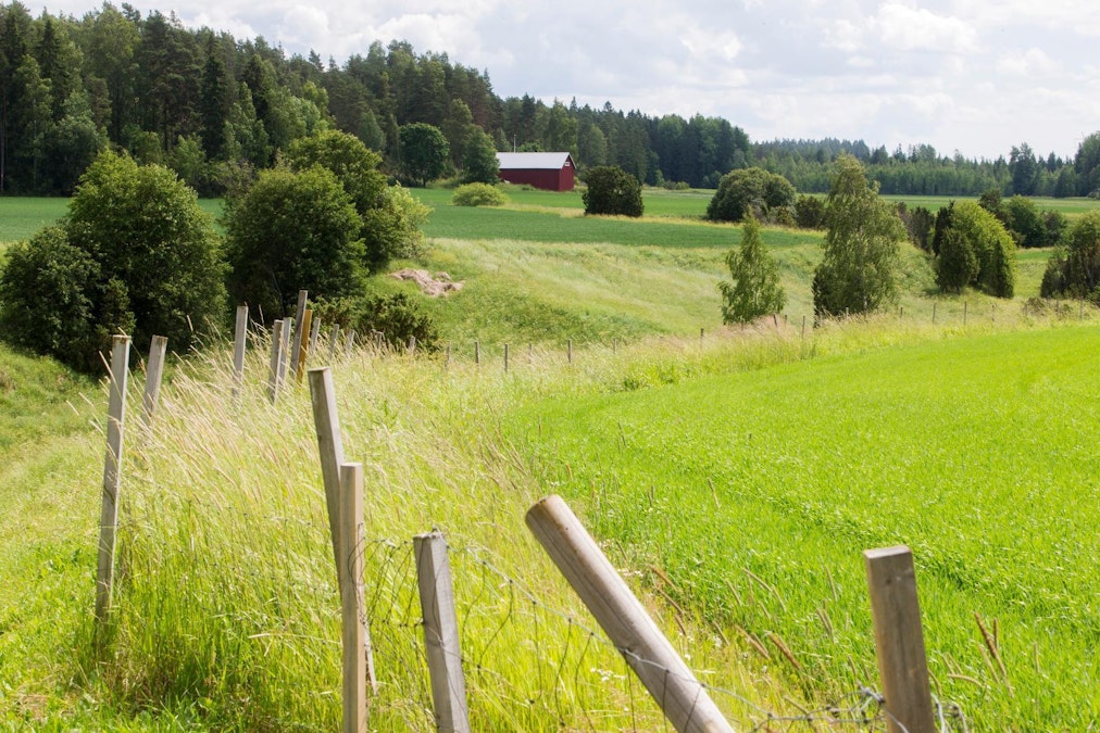 Tutkimus: Manner-Suomen maaseutuohjelman rahoitus on luonut työpaikkoja  maaseudulle - Uutiset - Maaseudun Tulevaisuus