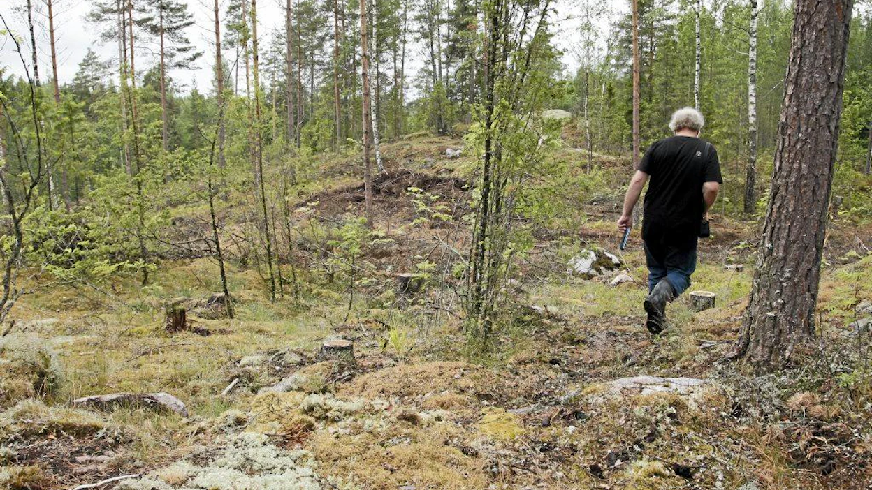 WWF:n ja Stora Enson järjestämä metsäretki medialle. Lojhan Karstu yrittäjä, metsänomistaja Hannu Korpijaakko. Luontopainotteinen metsäsuunnittelu, metsä, luonto.