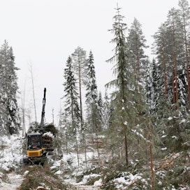Kuolinpesät eivät Metsäteollisuus ry:n mielestä myy riittävän aktiivisesti puuta, kun päätöksiin tarvitaan aina kaikkien osakkaiden hyväksyntä.
