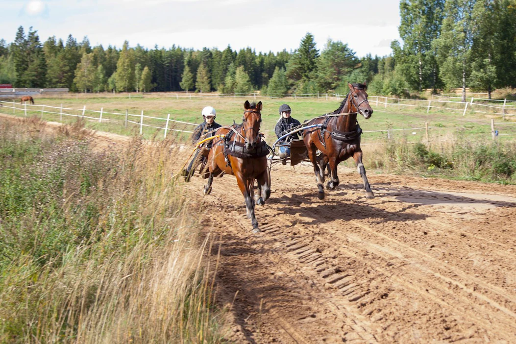 Mia Lammisen (valkoinen kypärä) ajama Benjamin Fame ja Laura Markkulan Changeman vauhdissa hiittisuoralla.