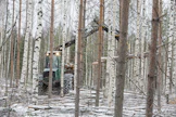 Puukaupan kilpailutus kasvattaa metsänomistajan tilipussia merkittävästi.