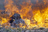 Metsäpalovaroitus takaa sen, että maaperä on riittävän kuiva kulotukselle. Tavallisesti kulotukseen ryhdytään pari päivää ennen sääennusteen lupaamaa vesisadetta.