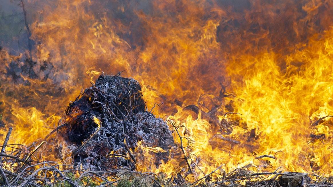 Metsäpalovaroitus takaa sen, että maaperä on riittävän kuiva kulotukselle. Tavallisesti kulotukseen ryhdytään pari päivää ennen sääennusteen lupaamaa vesisadetta.