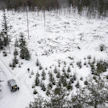Metsätilojen kuumana käynyt kauppa hiljeni viime vuoden lopulla.