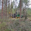 Harvennushakkuissa poistetaan osa metsän puista, jotta parhaat puut saavat enemmän kasvutilaa, valoa ja ravinteita.