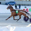 Star Photo S lasketteli hopeadivisioonan ykköseksi. Matias Salon suojatti oli yksi Santtu Raitalan neljästä voittoajokista Kuopiossa.