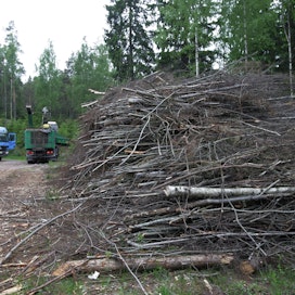  Puuenergia syntyy Suomessa muun metsätuotannon sivuvirroista.
