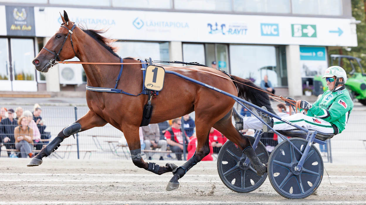 Ava Di Alessia voitti uransa 50 startista 19. Ari Moilanen voitti sen rattailla muun muassa 5-vuotiaiden tammojen Kasvattajakruunun ja Arvid Åvallin Tammaderbyn.