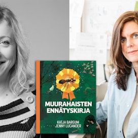 Katja Bargum &amp; Jenny Lucander: Muurahaisten ennätyskirja. Suomennos: Veera Antsalo. 40 sivua. Teos.