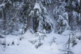 Lunta sataa lähipäivinä maan eri osissa.