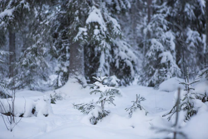 Lunta sataa lähipäivinä maan eri osissa.