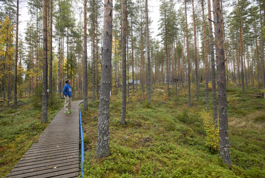 Tutkimusmetsikössä saa liikkua vain puisia käytäviä pitkin. Eläimet eivät ole aiheuttaneet harmia tutkimuslaitteille.