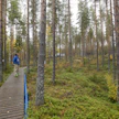 Tutkimusmetsikössä saa liikkua vain puisia käytäviä pitkin. Eläimet eivät ole aiheuttaneet harmia tutkimuslaitteille.