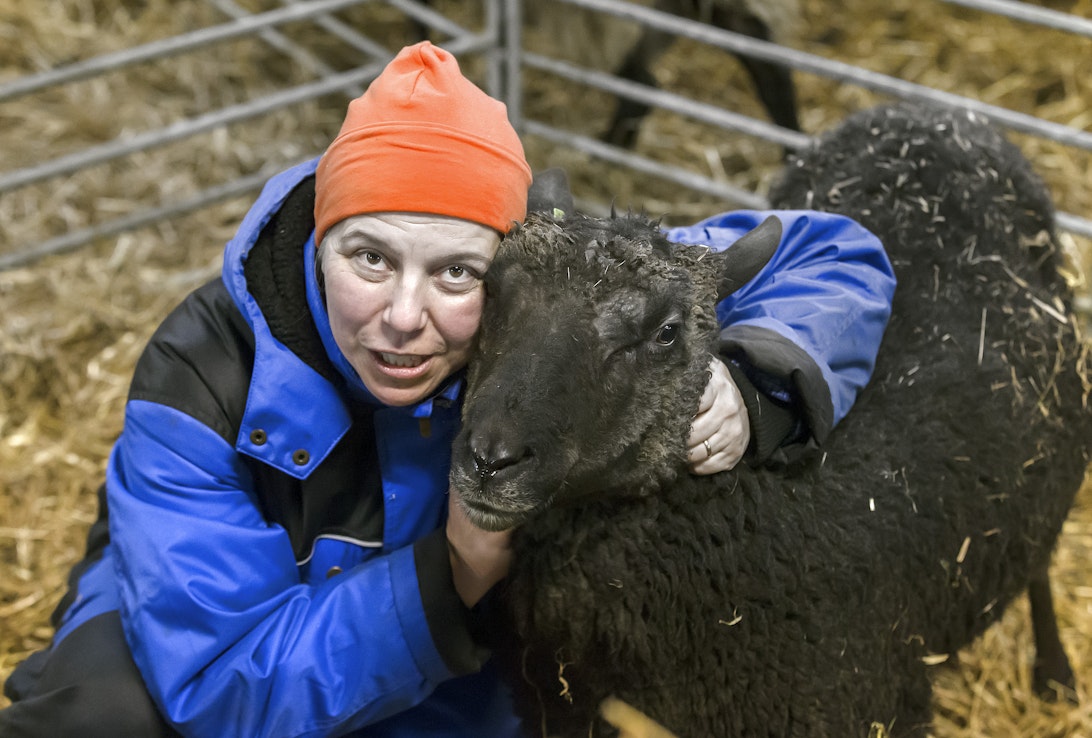 Isokummun lammastilan Satu Kumpulainen poseerasi lampaan kanssa vuonna 2016 liittyen tilan hoivamaatilatoimintaan. 