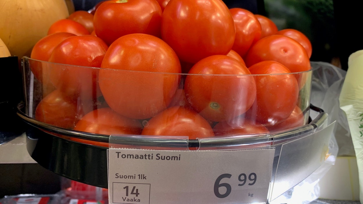 MT teki joulun alla katsauksen tomaattien hintoihin kaupassa. Kotimaisen tomaatin kilohinta oli kuuden euron tuntumassa, kallein lähes seitsemän euroa.