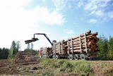 Pääosa raakapuusta eli suoraan metsästä käyttöön päätyvästä runkopuusta kuluu metsäteollisuustuotannon raaka-aineena.