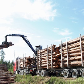 Metsäalan perustutkintoon tulee kaksi uutta tutkintonimikettä: puuterminaalikoneen kuljettaja ja puutavara-auton kuljettaja.