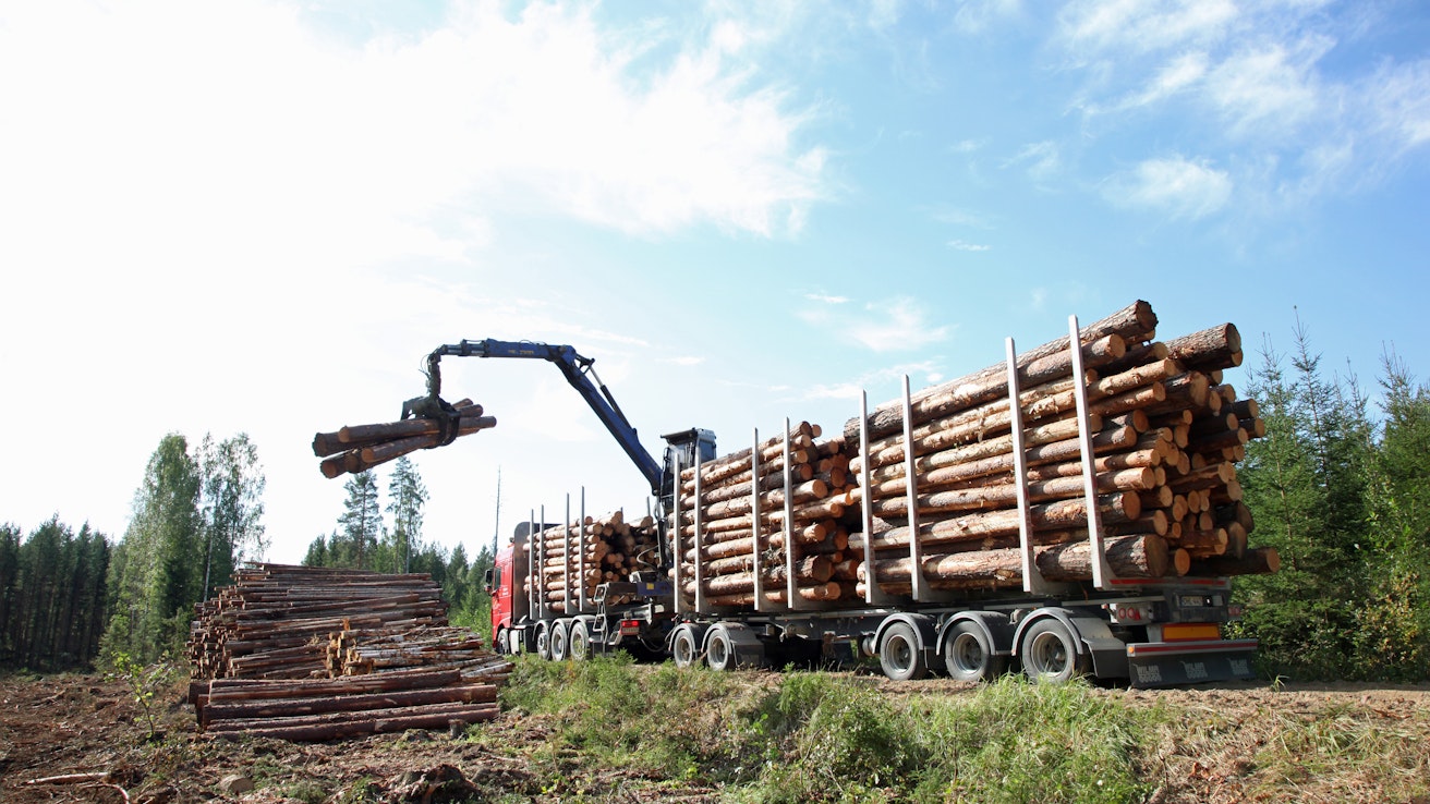 Pääosa raakapuusta eli suoraan metsästä käyttöön päätyvästä runkopuusta kuluu metsäteollisuustuotannon raaka-aineena.