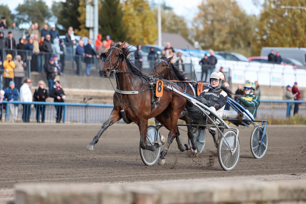 Tuukka Variksen uran tähän asti suurin voitto tuli pari viikkoa sitten Kymenlaakso-ajosta. Ajokkina oli Jari Kinnusen valmentama Shackhills Gambler.