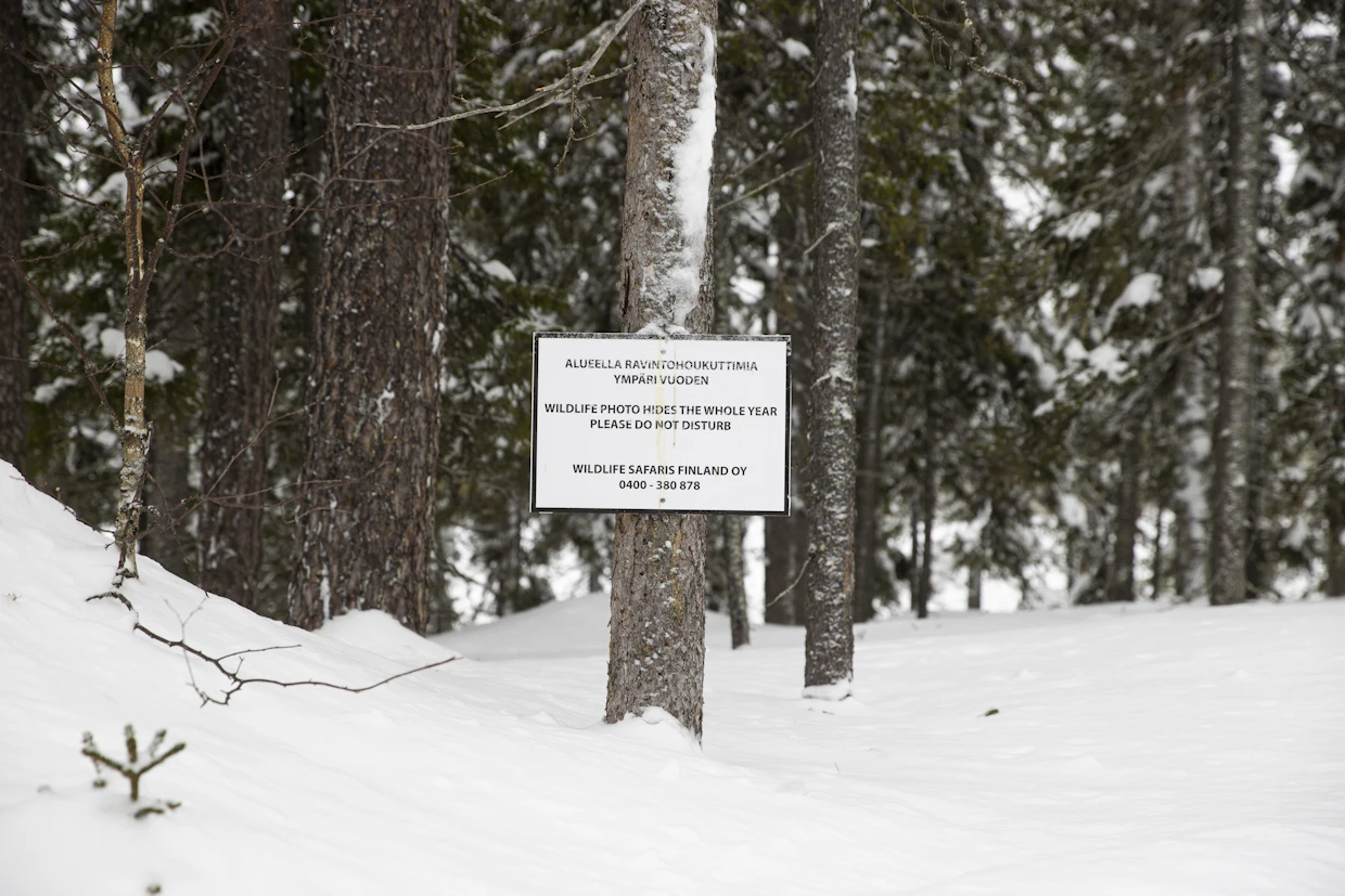 Kyltti kertoo Wildlife Safaris Finland -yrityksen rajavyöhykkeellä sijaitsevien piilokojujen yhteydessä tapahtuvasta ympärivuotisesta ravintohoukuttimien käytöstä.