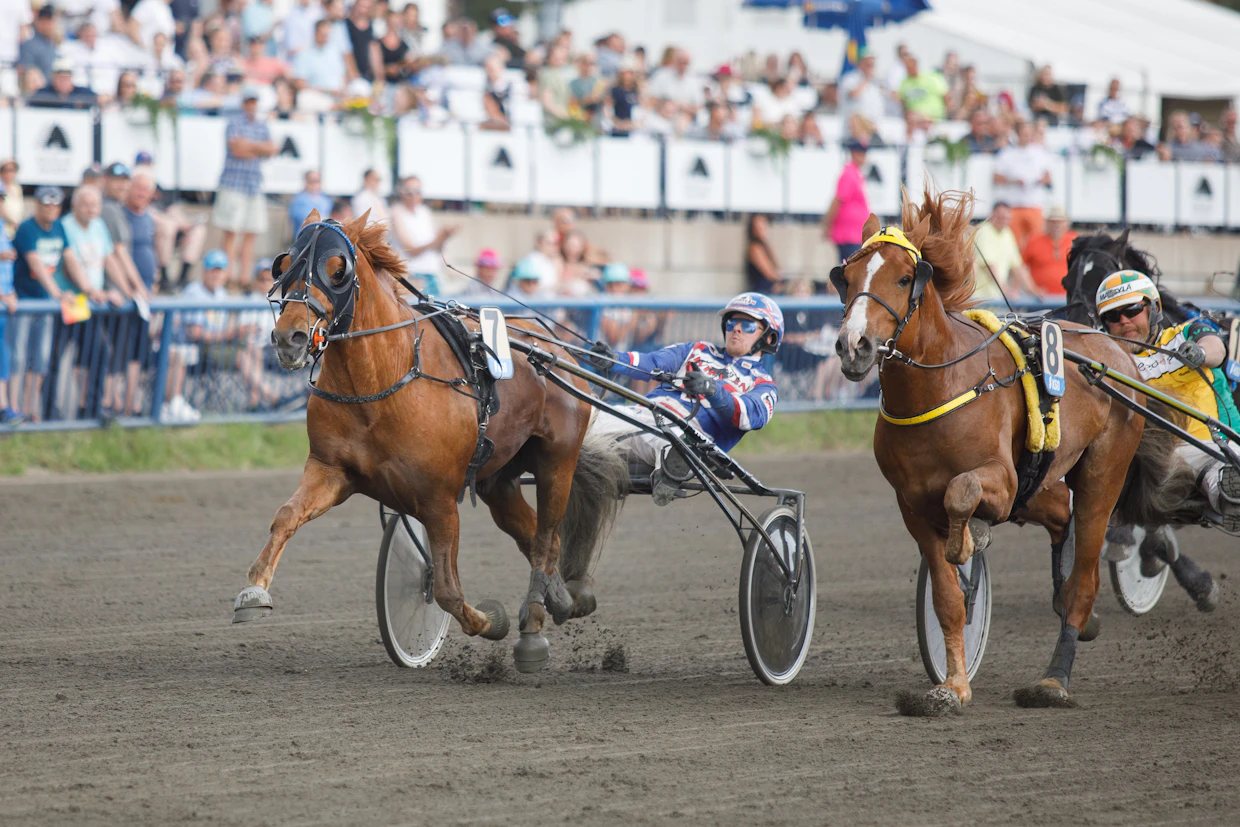 Julmin (nro. 7) voitti Olli Koivusen ohjastamana kesäkuussa Kymi GP -päivänä T75-lähdön. Toiseksi sijoittui Suvelan Rinssi Teemu Okkolinin ohjastamana.