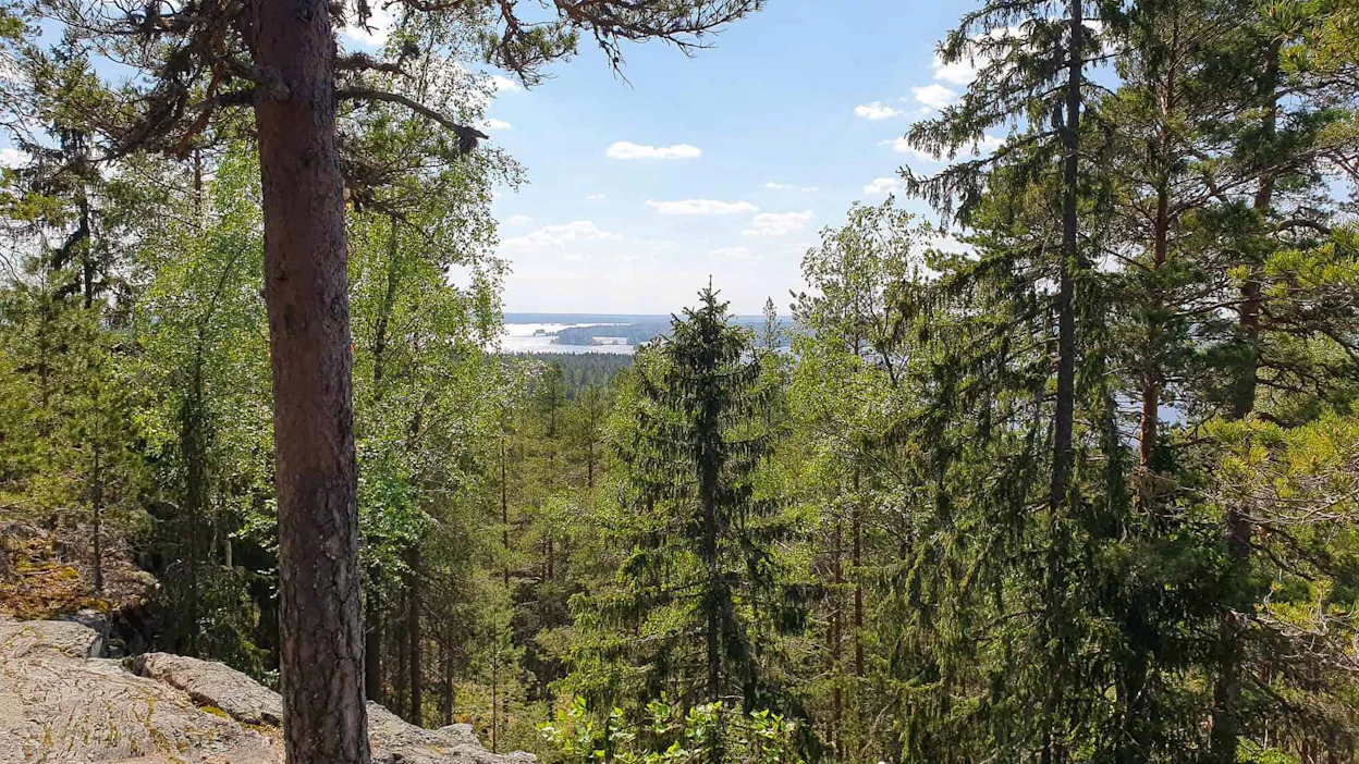 1970-luvulla Pirunvuoren kallionlaelle perustettiin noin kolmen hehtaarin kokoinen suojelualue. Ennen tätä vuorelle suunniteltiin 1950-luvulla jopa hotellia ja huoltoasemaa.
