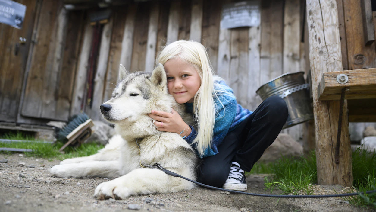 Laerke Holm Mikkelsen antoi heinäkuussa Batman-nimiselle huskylle halin Husky Parkissa Rovaniemellä.