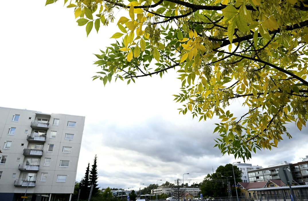 Sään ennakoidaan viilenevän viikonlopun aikana. LEHTIKUVA / HEIKKI SAUKKOMAA.