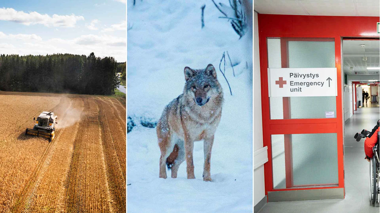 Maaseudun asukkaiden huolia sivuutetaan maatalouslinjauksissa, petopolitiikassa ja sairaanhoidossa.