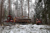 Kranmanin 960-kuormatraktori ja 620S-harvesteri muodostavat tehokkaan kaksikon esimerkiksi ajourattomaan puunkorjuuseen.