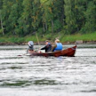 Tänä kesänä Tornionjoesta saa ottaa kaksi lohta kalastajaa kohti koko kalastuskauden aikana. Meritaimenen kalastaminen on kielletty.