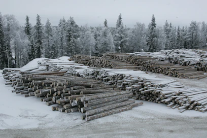 Puun hintaa on Ruotsissa korotettu viime aikoina kymmenillä kruunuilla eli muutamilla euroilla kuutiolta.