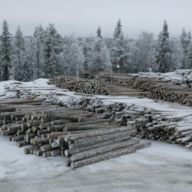 Puun hintaa on Ruotsissa korotettu viime aikoina kymmenillä kruunuilla eli muutamilla euroilla kuutiolta.