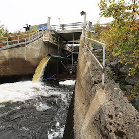 Iijoen ensimmäinen kalatie rakennettiin Kostonjärven säännöstelypadolle vuonna 2012.