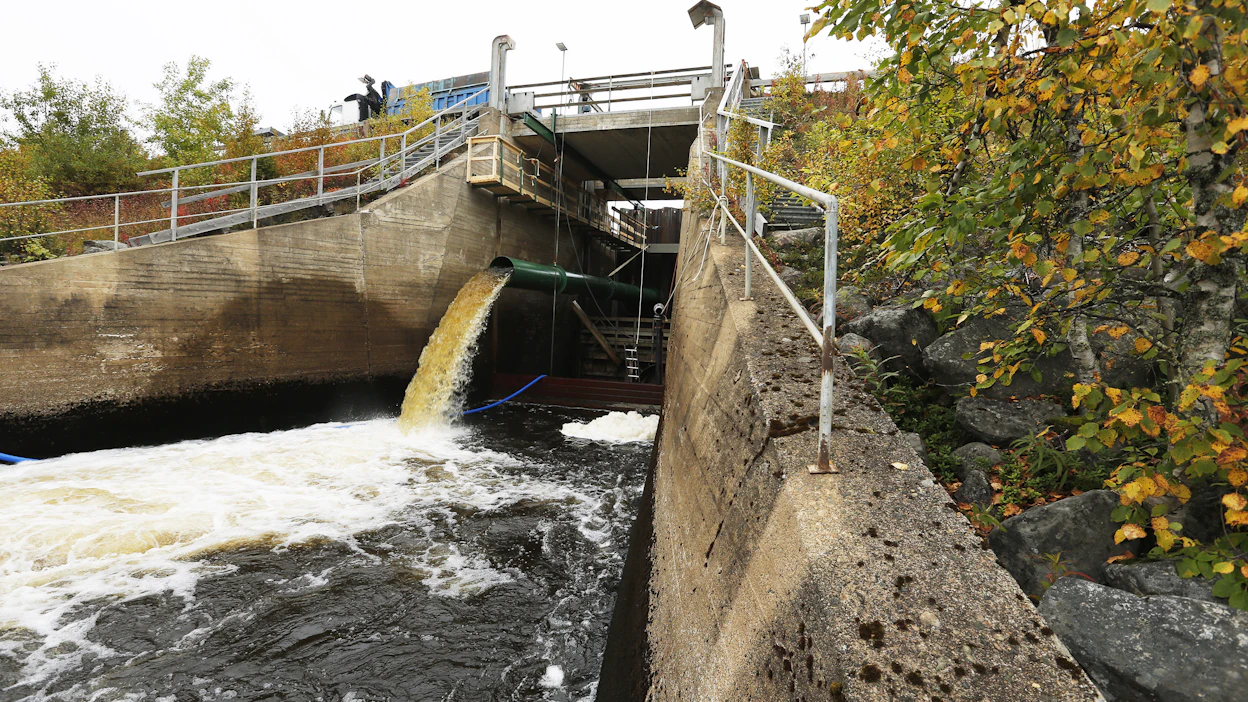 Iijoen ensimmäinen kalatie rakennettiin Kostonjärven säännöstelypadolle vuonna 2012.