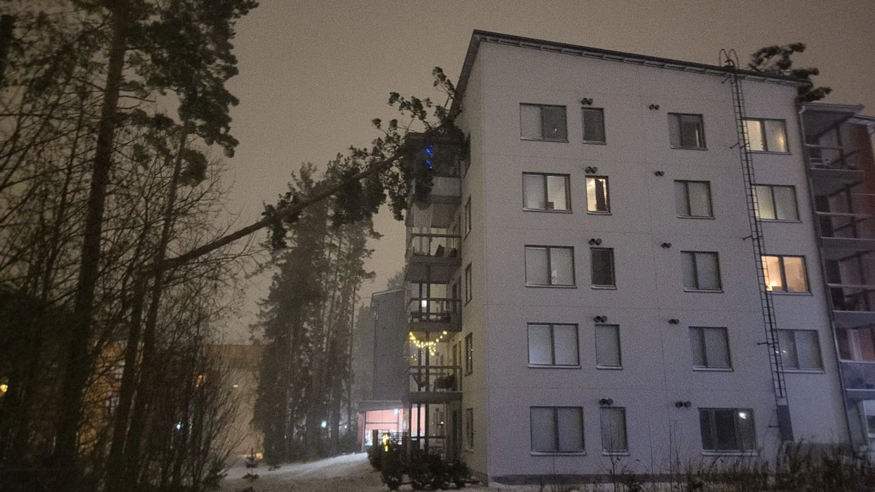 Puu oli katkennut ja rojahtanut kerrostalon päälle Jyväskylän Mannisenmäellä. Kuva on otettu kahdeksan aikaan illalla.