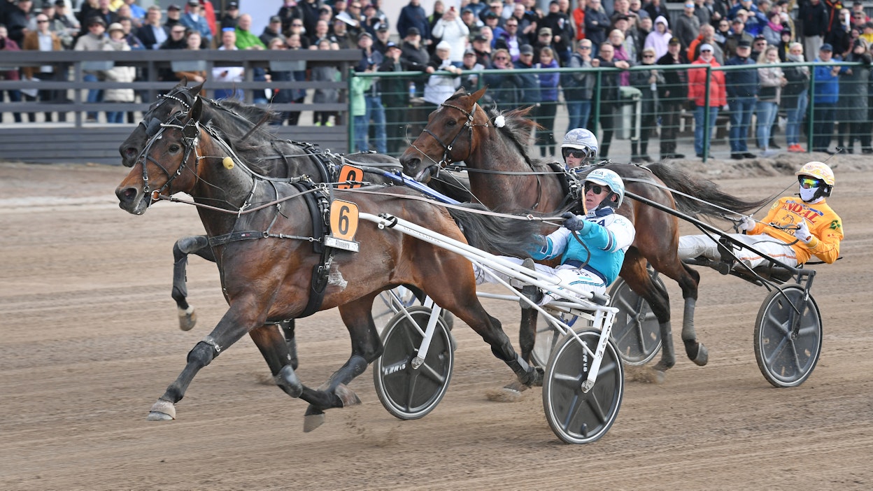 Örjan Kihlströmin ohjastama Mister Hercules vei Seinäjoki Racen 70 000 euroa ennen uloimpana kirinyttä Borups Victorya ja välissä kamppaillutta Bengurion Jetiä.