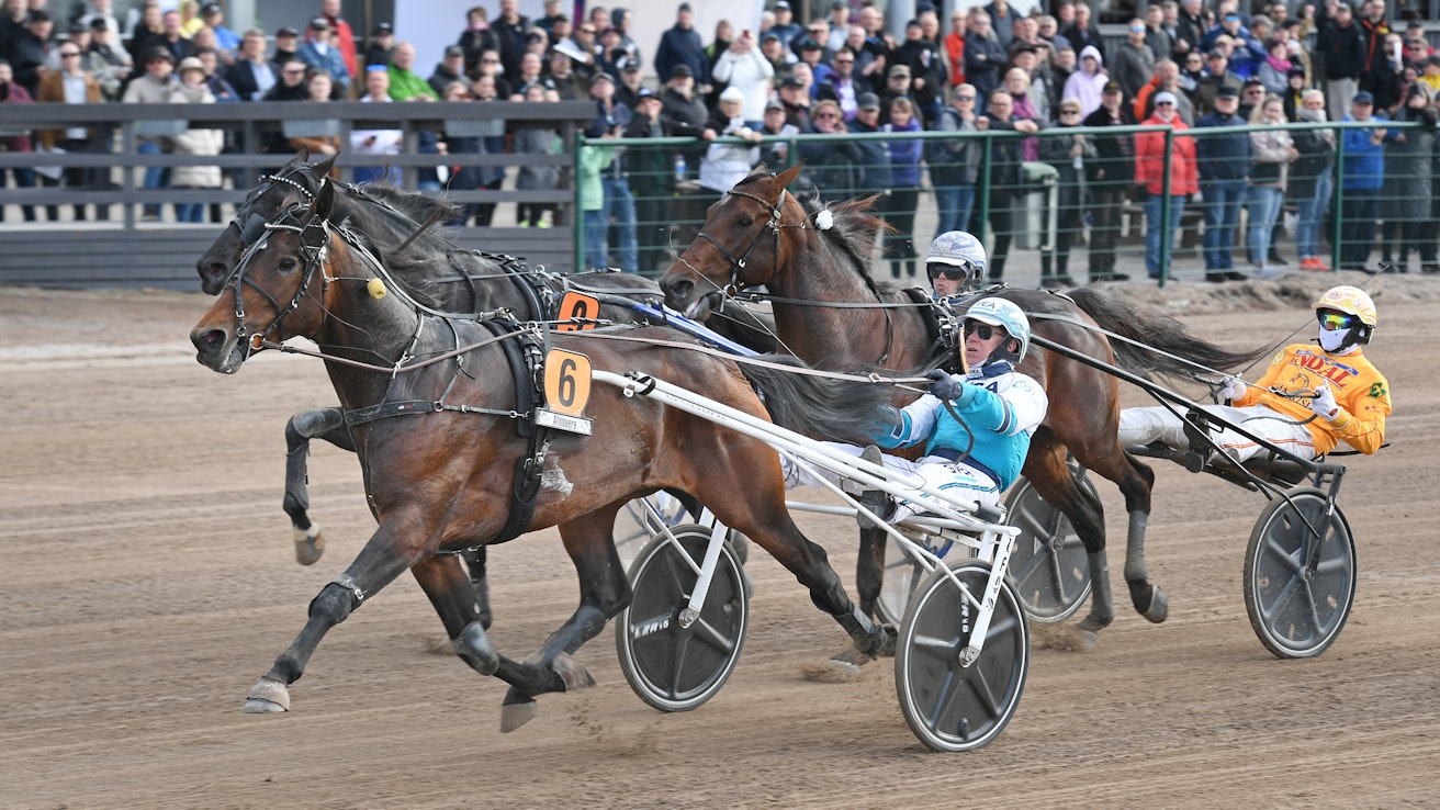 Viime vuonna Seinäjoki Racen voitti Mr Hercules, jota ohjasti Örjan Kihlström. Uloimpana kiri toiseksi Borups Victory rattaillaan Daniel Wäjersten. Kolmas oli Alessandro Gocciadoron Bengurion Jet.