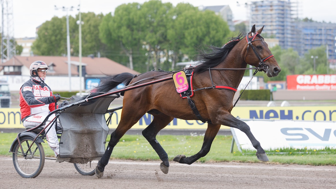 Elitloppet-kolmonen Mister F. Daag ja valmentajansa Paul Hagoort ovat kovia illalla Malmössäkin.