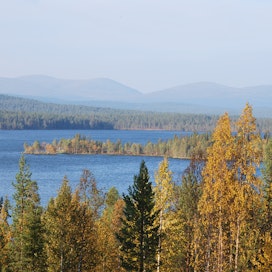 Arkistokuva Pallas-Yllästunturin kansallispuistosta ruskan aikaan syyskuussa.