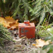 Metsävähennys on metsänomistajakohtainen, ei tilakohtainen.
