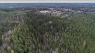 Puuston kokonaistilavuus on lisääntynyt vuoden takaiseen arvioon verrattuna 26 miljoonaa kuutiometriä. 