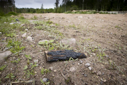 Tulipalo herättää usein myös sivullisten kiinnostuksen. 