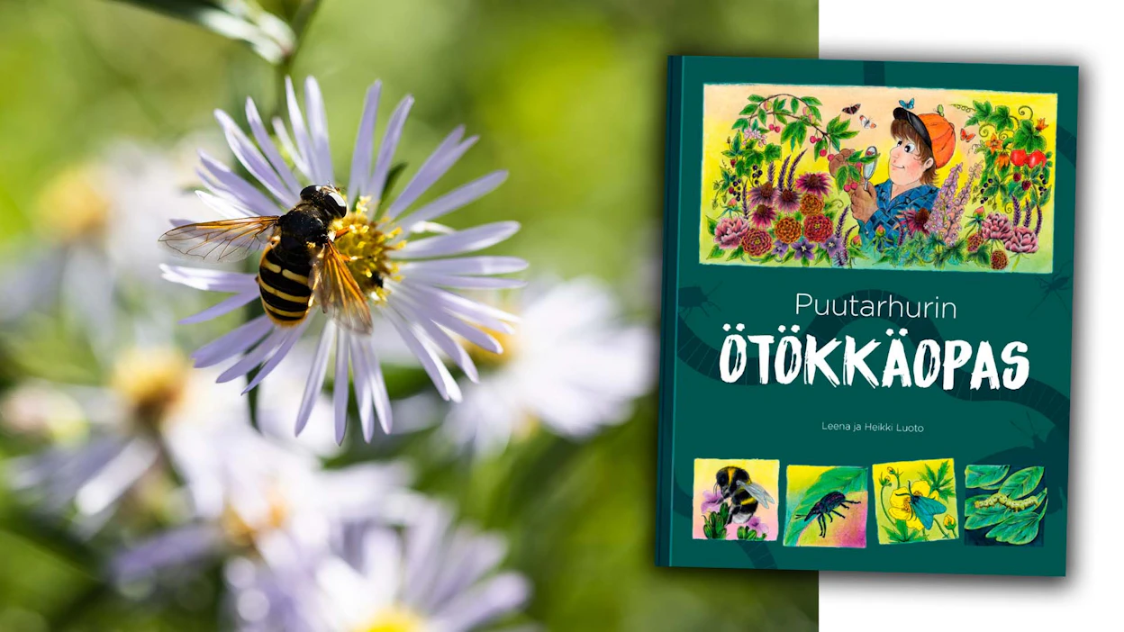 Uutuuskirja opastaa puutarhan hyönteismaailman saloihin.