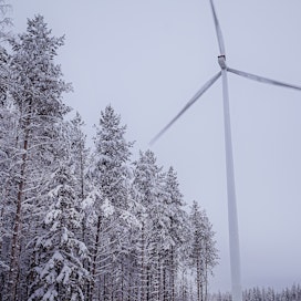 Suomessa oli kesäkuun tietojen mukaan 1468 tuulivoimalaa, joiden yhteiskapasiteetti oli reilut 6000 megawattia. Suomessa käytetystä sähköstä 14 prosenttia tuotettiin viime vuonna tuulella.