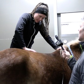 Sunnuntain MT Hevoset -ohjelmassa eläinlääkäri Jaana Tainio kertoo hevosten kiropraktisesta hoidosta. Haastattelijana on Juha Jokinen.