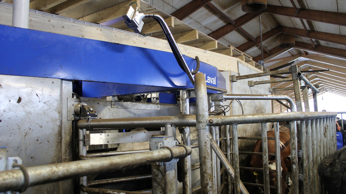 Korpelan tilalla Soinissa on käytössä DeLaval BCS -kuntoluokkakamera lypsyrobotin poistumisväylällä, jolla karjan kuntoluokkaa voidaan seurata tekniikka-avusteisesti ilman ihmisen subjektiivista näkemystä. 