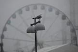 Suomessa vallitsevan suttuisen sään vuoksi Primorskin eli Koiviston öljysataman tulipalosta aiheutuvaa savua ei todennäköisesti edes huomaisi Suomen puolella, kertoo meteorologi. ANTTI AIMO-KOIVISTO / LEHTIKUVA. 