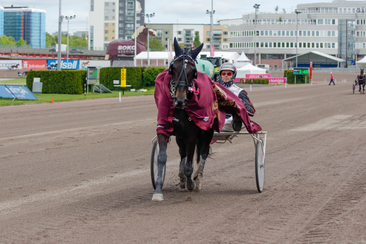 Joy Sisu voitti kolmevuotiaana Elitloppet-perjantaina ravatun ASVT Trottex -huutokauppalähdön Mika Forssin ohjastamana.