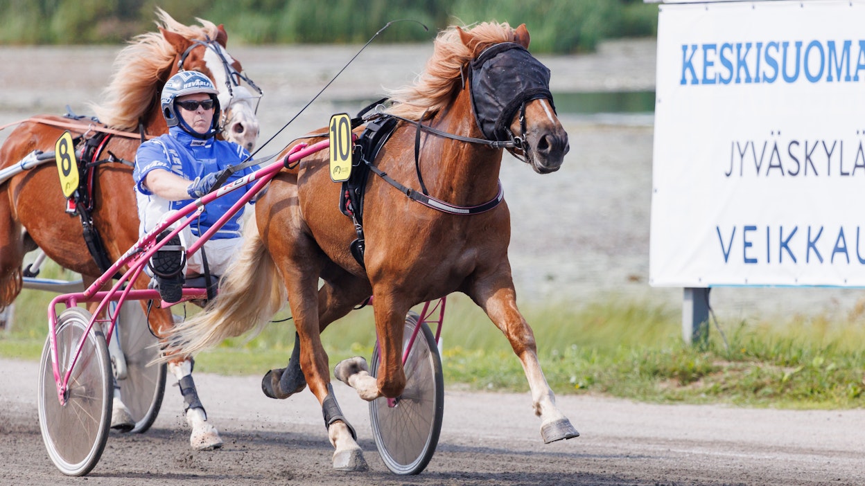 Rebyytin startit on koelähtöä ja yhtä kilpailua lukuun ottamatta ohjastanut Juha-Pekka Ahonen. Jämsäläisohjastaja vastaa Rebyytin ohjastuksesta myös viisivuotiskauden avaustartissa keskiviikkona.